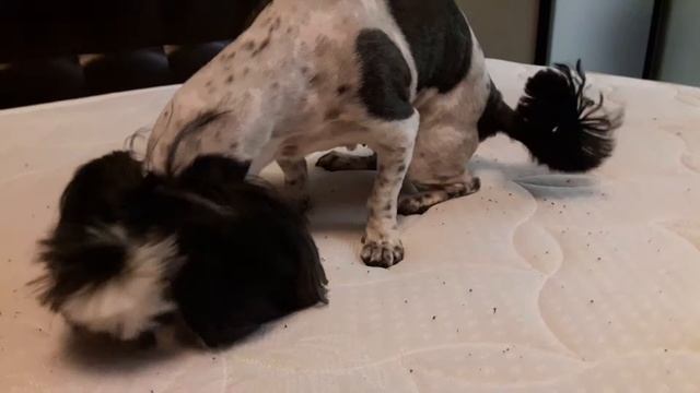 Дом и Семья