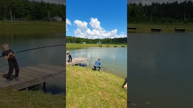 Вываживание карпа ?Рыболовный клуб "Юрково" Можайский р-н Московская обл www.yurkovo.ru смотреть онлайн