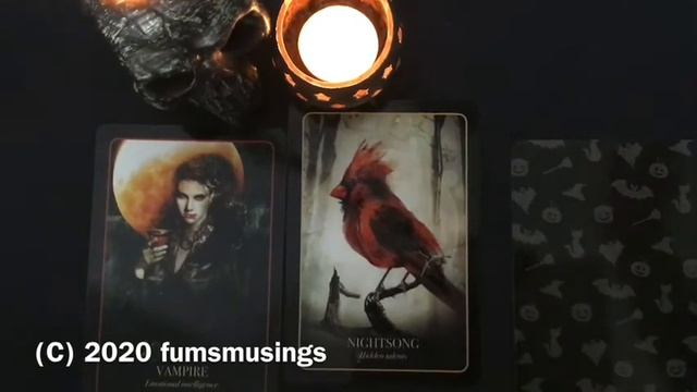 Halloween oracle card reading смотреть онлайн