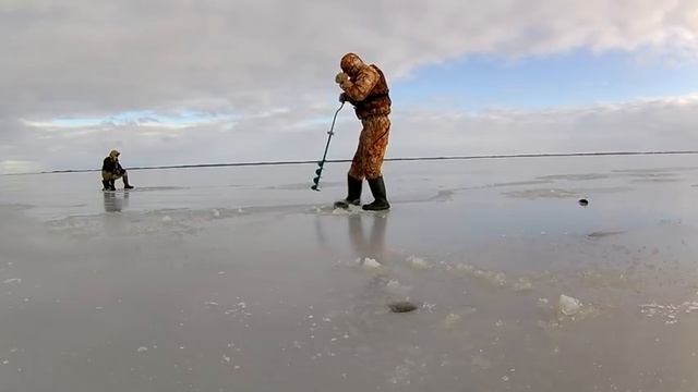 Ловля окуня на балансир зимой. Ловля крупного окуня. Жор окуня. Зимний окунь / Горбачи смотреть онлайн