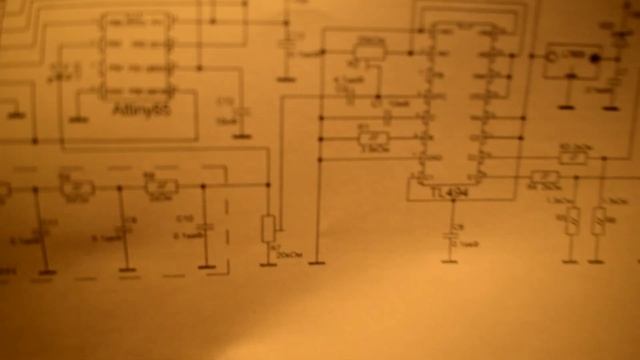Дневник гибрида #5. Подготовка к силану. смотреть онлайн