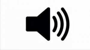 Jotaro Yes Yes Yes sound effect