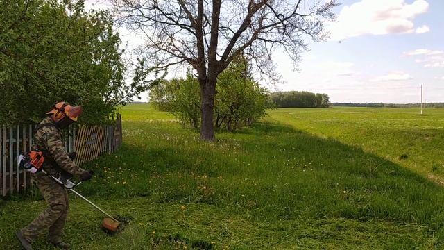 Holzfforma FF 250. или  испытания копии штиль  фс 250  . доволен . реально валит.