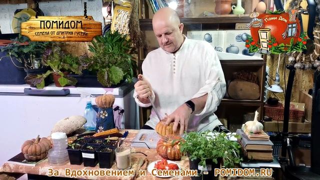 Ура, и Тыква Японская КАЦУМА НАНКИН кабоча — 勝間南瓜 долежала без потери качества до ФЕВРАЛЯ смотреть онлайн