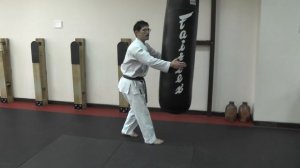 ТЕХНИКА УДАРОВ НОГАМИ |ЙОКО ГЕРИ | УЭДА МАСАРУ