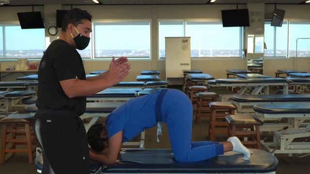 OMT: Lymphatic - Marian Clark Drainage (for Pelvic Congestion) смотреть онлайн