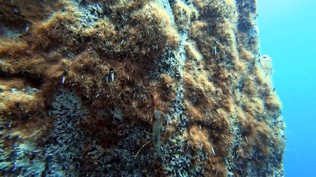 Озеро Барракуда YT смотреть онлайн