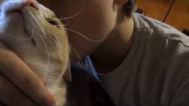 [Vlog] Ho spostato il pc e ho i muri distrutti смотреть онлайн