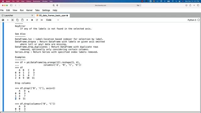 Programming Essentials Python - Overview of Pandas Libraries - Data Frames - Basic Operations смотреть онлайн