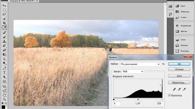 Настройка тонового диапазона в Фотошоп. Фото редактор Adobe Photoshop. смотреть онлайн