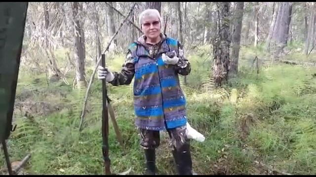 Собираем кедровые шишки в Сибири смотреть онлайн