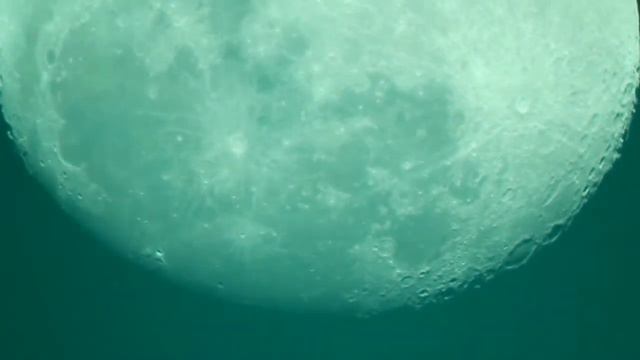 Moon in my 8" Meade LX200 telescope смотреть онлайн