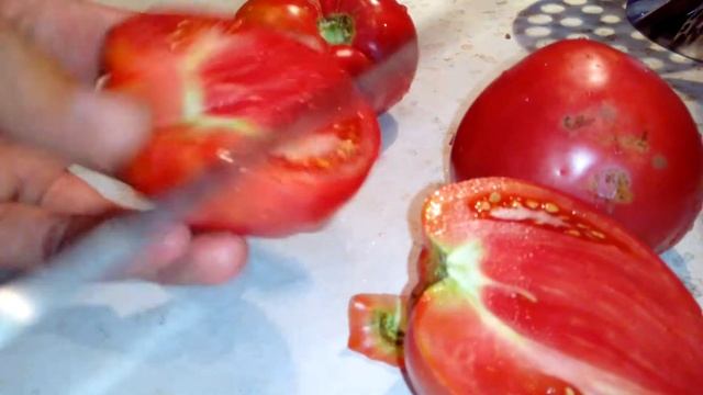 Какие сорта помидоров выбрать для посадки, и стола. смотреть онлайн