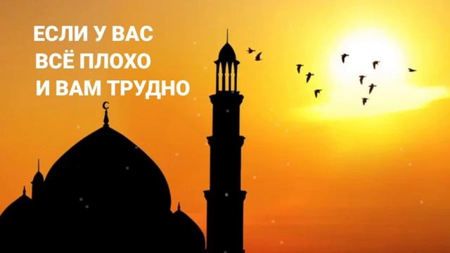 ЕСЛИ У ВАС ВСЁ ПЛОХО И ВАМ ТРУДНО ЭТО ДУА ДЛЯ ВАС. смотреть онлайн