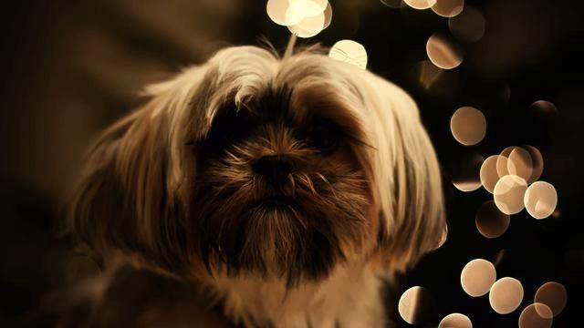 Самая красивая музыка и фото в хорошем качестве смотреть онлайн