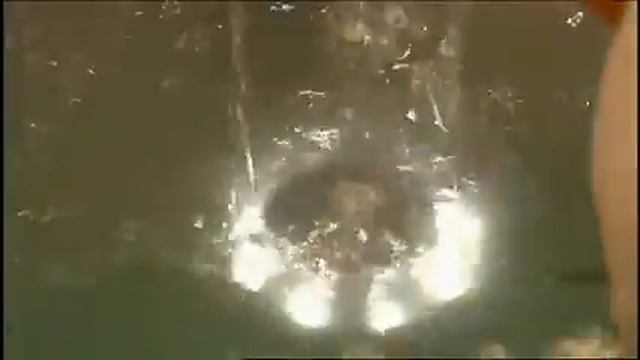 DVPOOL - освещение Cariitti смотреть онлайн