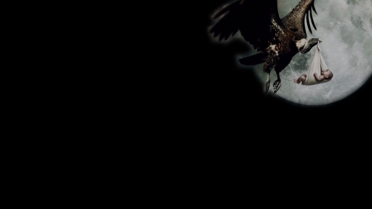 Rutube_account_1152330