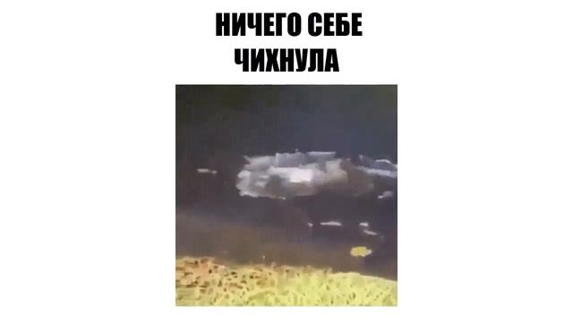 Ничего себе чихнула смотреть онлайн