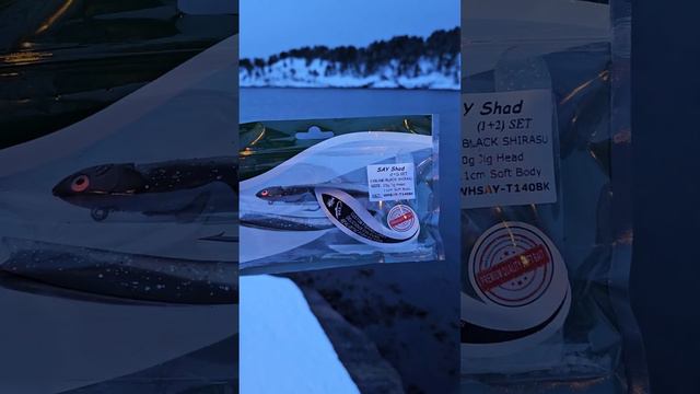 ЕЩЁ ОДНА РАБОЧАЯ ПРИМАНКА! рыбалка в Норвегии с берега. Приманки. снасти. #lange_fishing смотреть онлайн