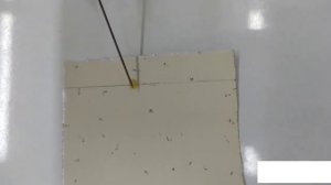 Хроматографические методы анализа