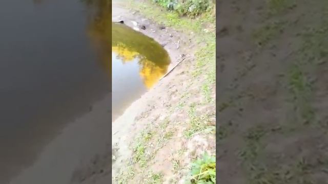 Не большая рыбалка смотреть онлайн