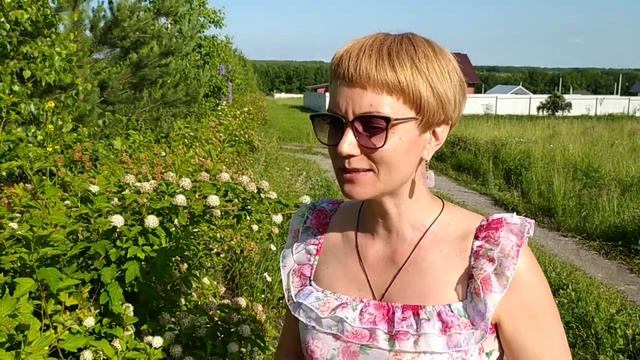 Пузыреплодник- лучший кустарник для живой изгороди! смотреть онлайн