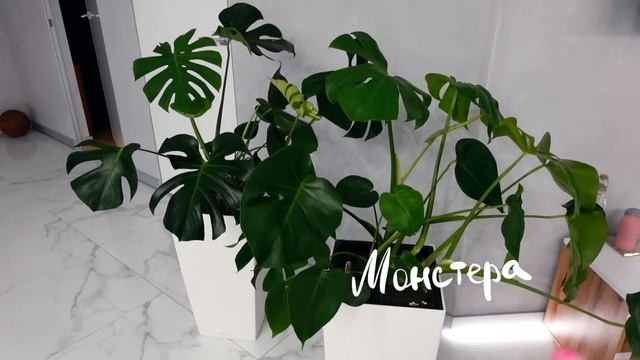 ПЕРЕЕЗД (опять) + roomtour смотреть онлайн