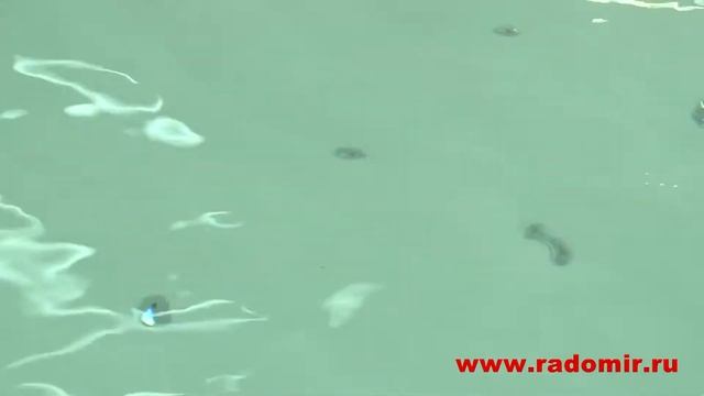 Производство гидромассажных ванн и душевых кабин RADOMIR смотреть онлайн