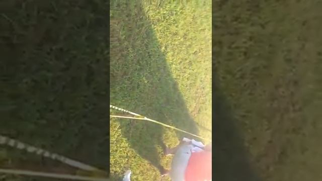 JCB Mud Run 2014(starting line/wave one) смотреть онлайн