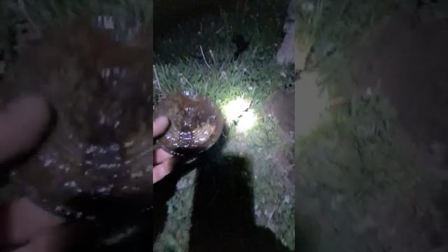 Древнекитайское зеркало