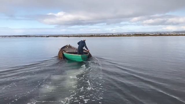 Заготовка ламинарий смотреть онлайн
