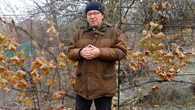 @Подготовка винограда к зиме Укрывать лозу на зиму или нет? смотреть онлайн