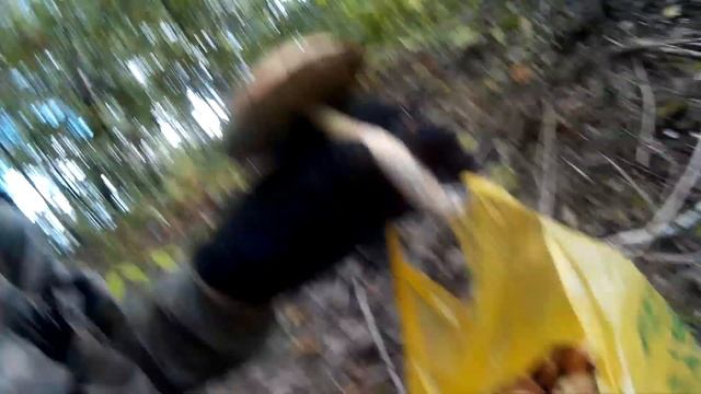 Чистота и уют в каждом уголке