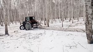 Трелевка мтз 50 на гусеницах...( новый эксперимент)