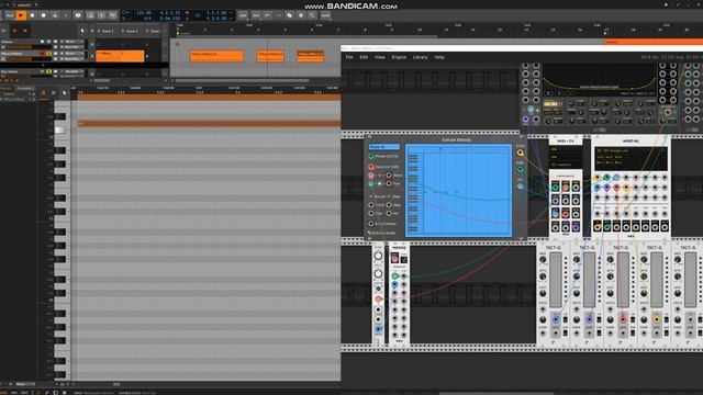 Bitwig, VCV2 Entrian Melody module the missing patterns смотреть онлайн