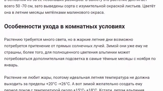 Альпиния Растения для дома и сада смотреть онлайн