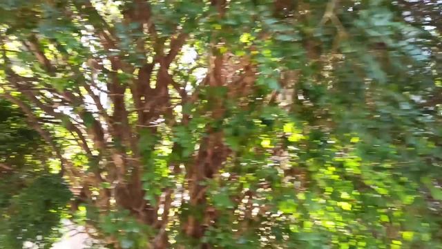 Мир За Пределами