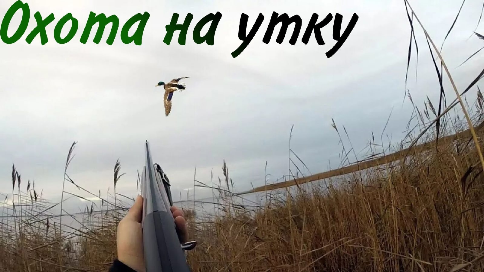 Охота на утку смотреть онлайн