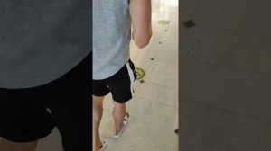 Завтрак в отеле Sinatra Hotel.