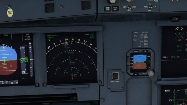 Microsoft Flight Simulator