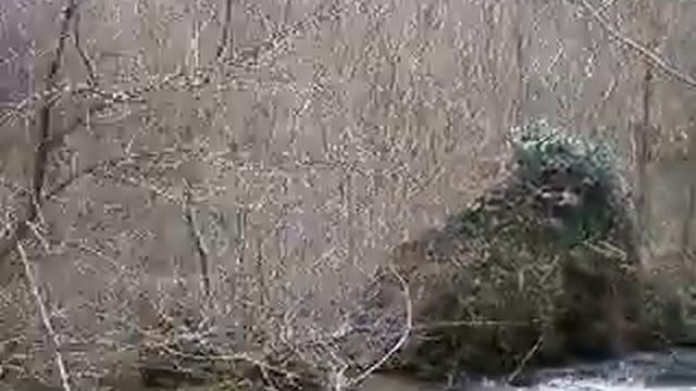 Лесной водопад в центре Франции смотреть онлайн