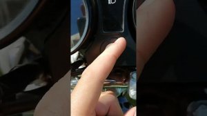 Мопед альфа 50 кубов. Отзыв владельца.