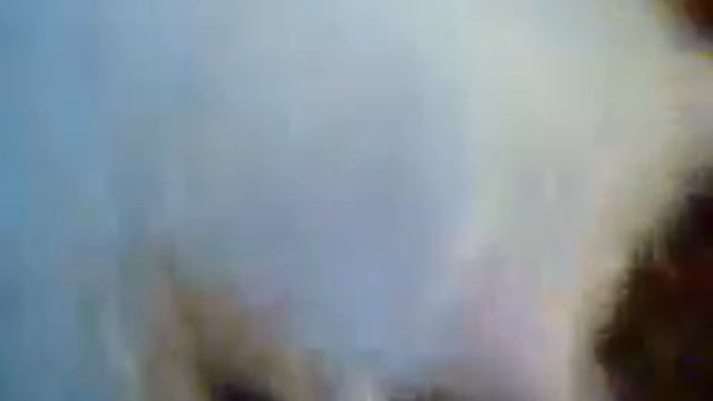 Бедную кошку помыли.3gp смотреть онлайн