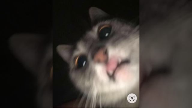 Dancin⭐ Speed Song⭐