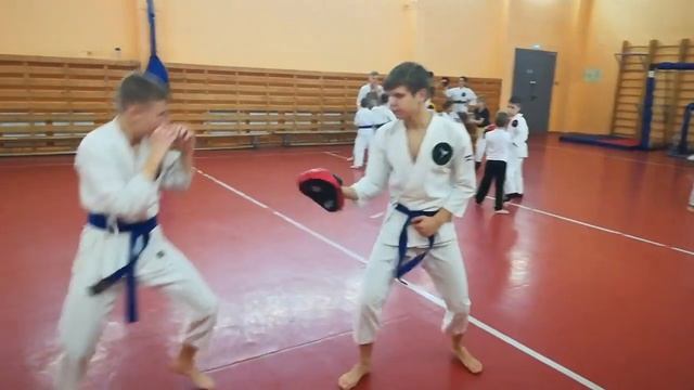 Каратэ Шотокан смотреть онлайн