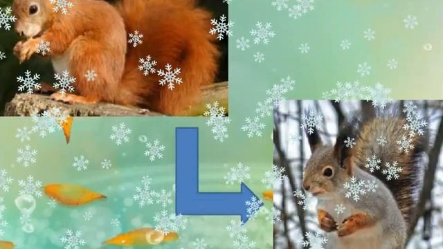 Дикие животные готовятся к зиме. Бакуменко С.А. смотреть онлайн