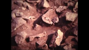 Раскопки Маяцкой крепости