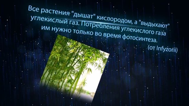Знаете ли Вы, что..? - Выпуск №10 смотреть онлайн