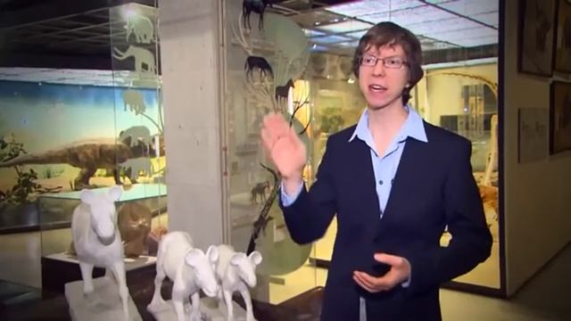 Эволюция и одомашнивание лошади. Фрагмент передачи "Подкова. Экстерьер лошади". смотреть онлайн