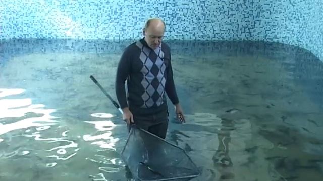 Предприниматель из ЮКО разводит осетров в домашних условиях